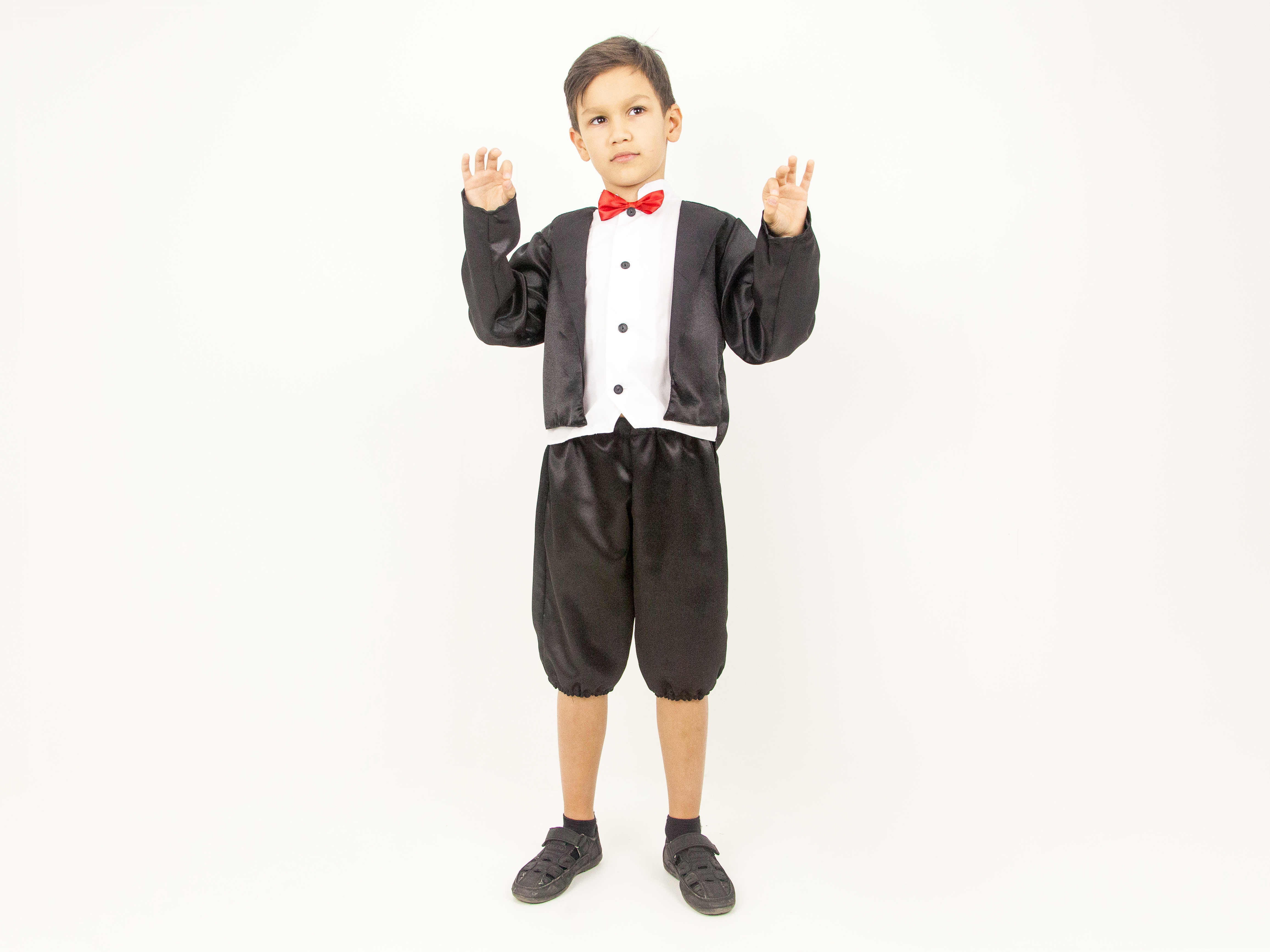 Conductor (tailcoat + breeches)