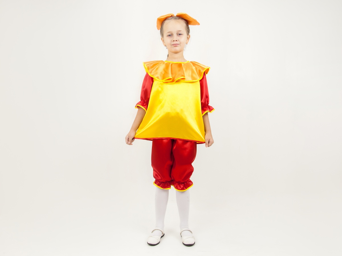 Clown (girl) (blouse + breeches + headpiece)