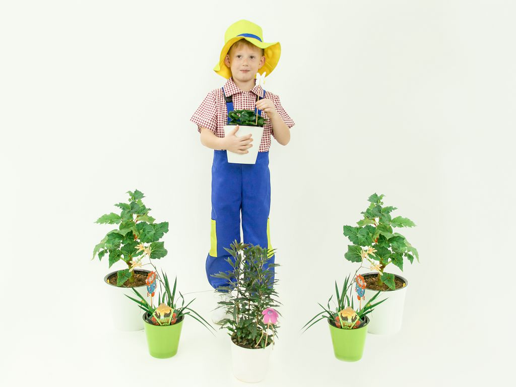 Gardener (overalls + shirt + headpiece)